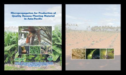 Micropropagation for Production of Quality Banana Planting Material in Asia-Pacific
