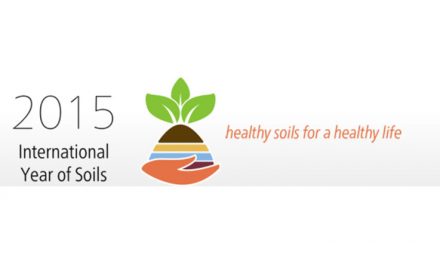 2015 International Year of Soil