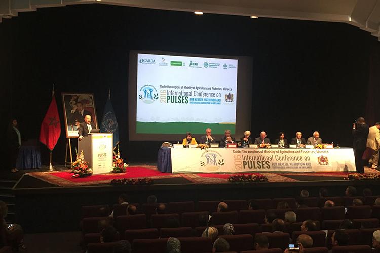 Call for better policies at 2016 International Conference on Pulses