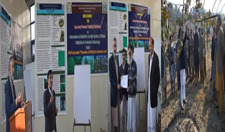 One Day Farmers Training Workshop on “Introduction of Kiwifruit – Its High Quality Production & Efficient Cultivation Technologies” at NTHRI Shinkiari Mansehra
