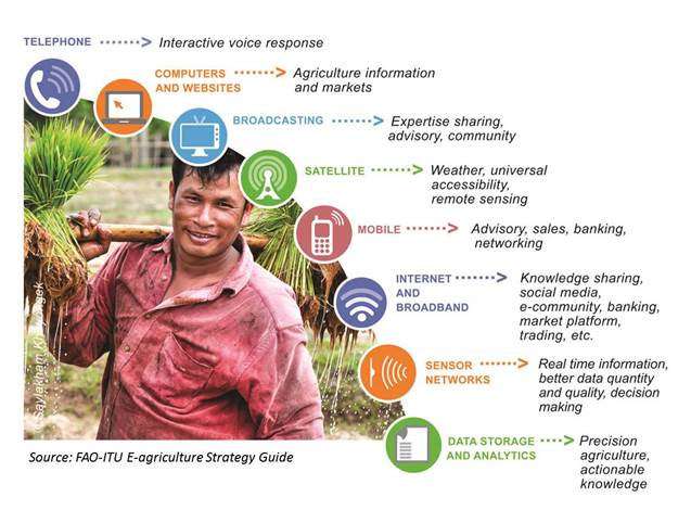 The E-agriculture Strategy competing for a prestigious international prize – Please vote to help the strategy win!