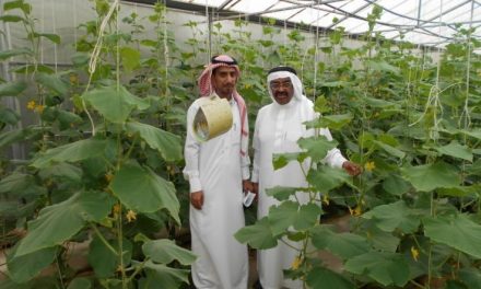 ICARDA contributes to scaling-out successful water use technologies in Saudi Arabia