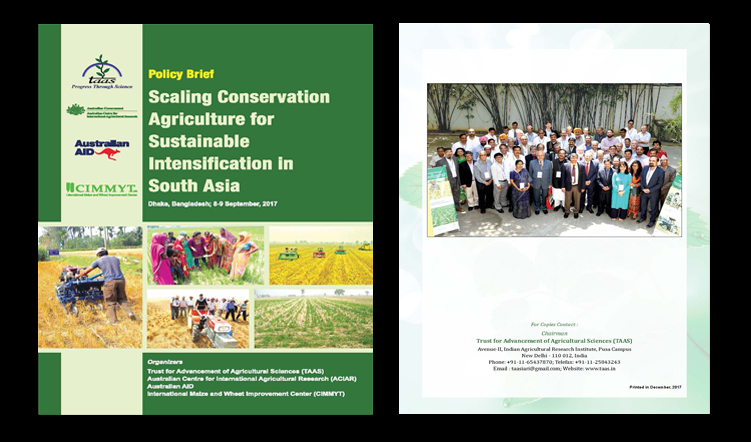 Scaling Conservation Agriculture for Sustainable Intensification in South Asia – Policy Brief