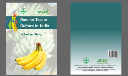 Banana Tissue Culture Success Story