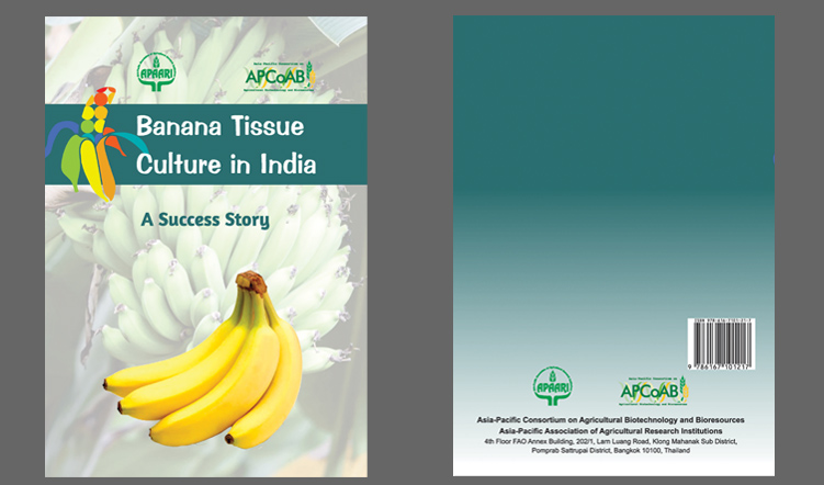 Banana Tissue Culture Success Story
