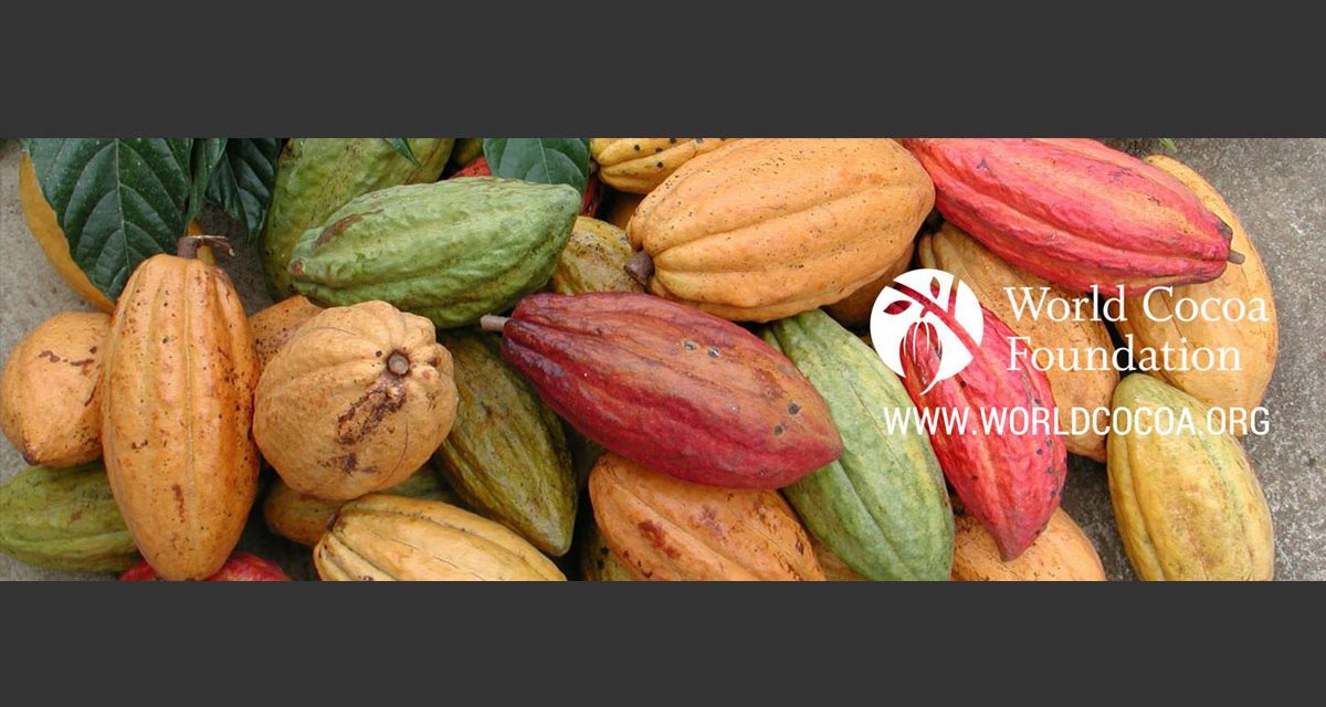 Vice President for Environmental Sustainability – World Cocoa Foundation