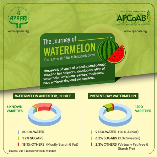 The Journey of #Watermelon – From extremely bitter to deliciously sweet