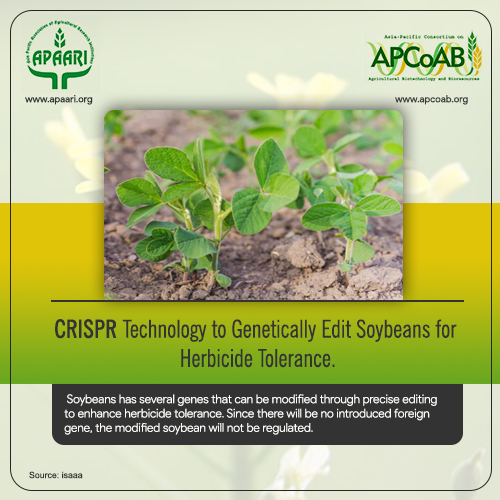 CRISPR Technology to Edit Soybeans for Herbicide Tolerance