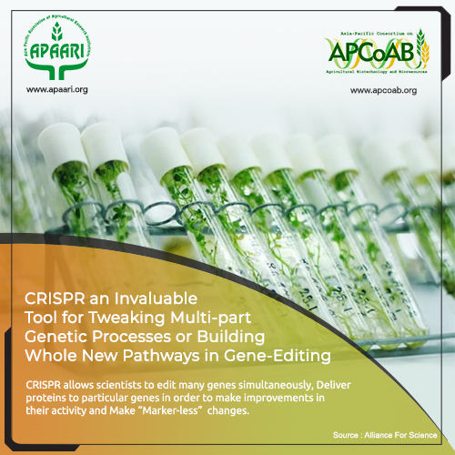 CRISPR an Invaluable Tool for Tweaking Multi-part Genetic Processes or Building Whole New Pathways in Gene-Editing
