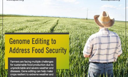 Genome Editing to Address Food Security