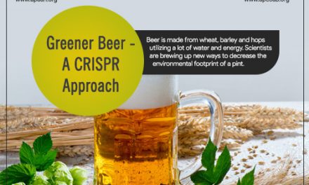 Greener Beer- A CRISPR Approach
