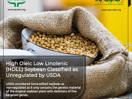 High Oleic Low Linolenic (HOLL) Soybean Classified as Unregulated by USDA