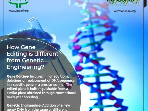 How Gene editing is different from Genetic Engineering?