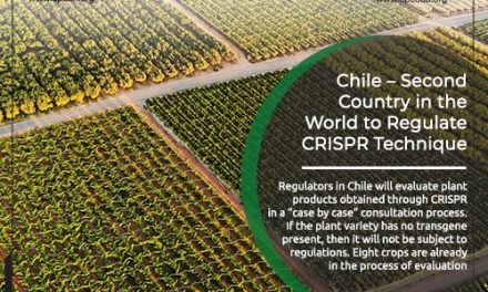 Chile – Second Country in the World to Regulate CRISPR Technique