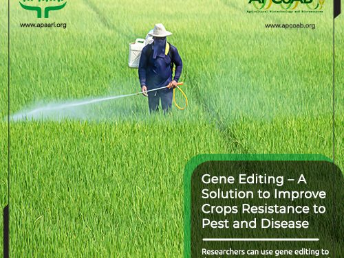 Gene-Editing – A Solution to Improve Crops Resistance to Pest and Disease