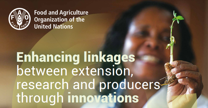 Enhancing linkages between extension, research and producers through innovations