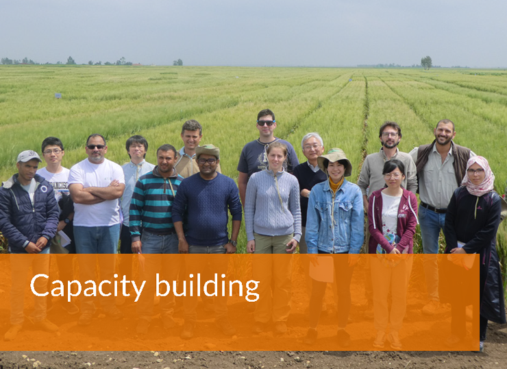ICARDA Annual Report 2020