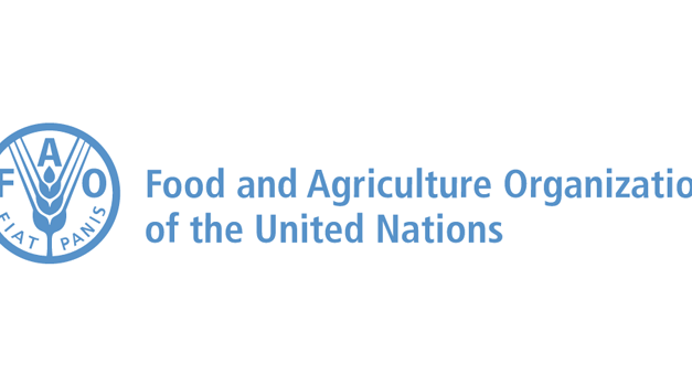 Vacancy Announcement for the position of Consultant at FAO