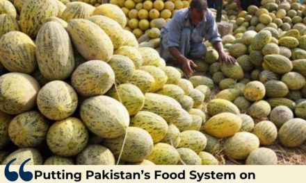 Putting Pakistan’s Food System on the Path to Greater Sustainability and Resilience