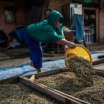 Celebrating International Womens’ Day to advance gender equality in innovation