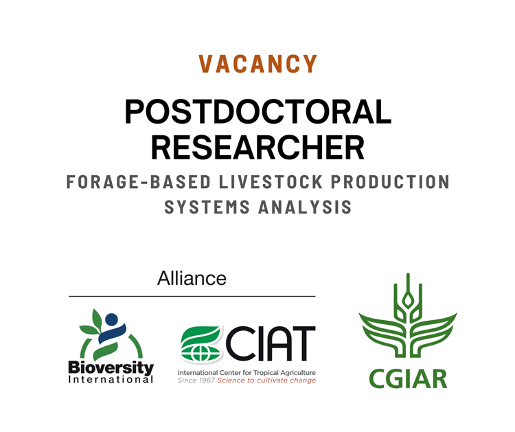Vacancy for postdoctoral researcher at the Alliance of Bioversity International and the International Center for Tropical Agriculture (CIAT)