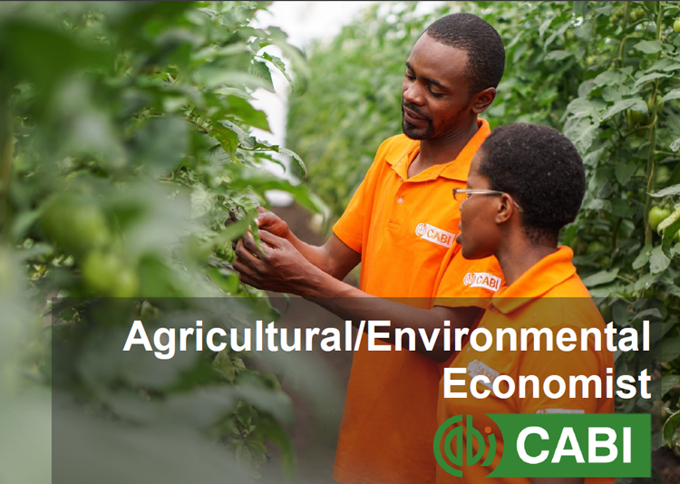 Vacancy for Agricultural/Environmental Economist at CABI Malaysia