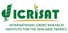 30.ICRISAT