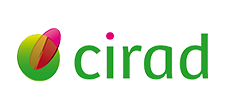 66.CIRAD