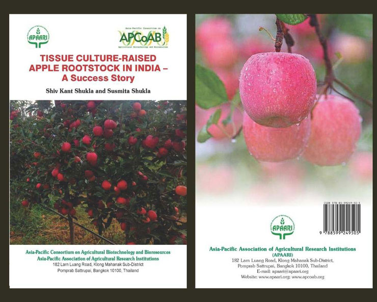 Apple_story_s