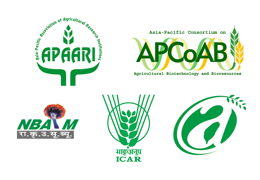 LOGO-for-AIM-