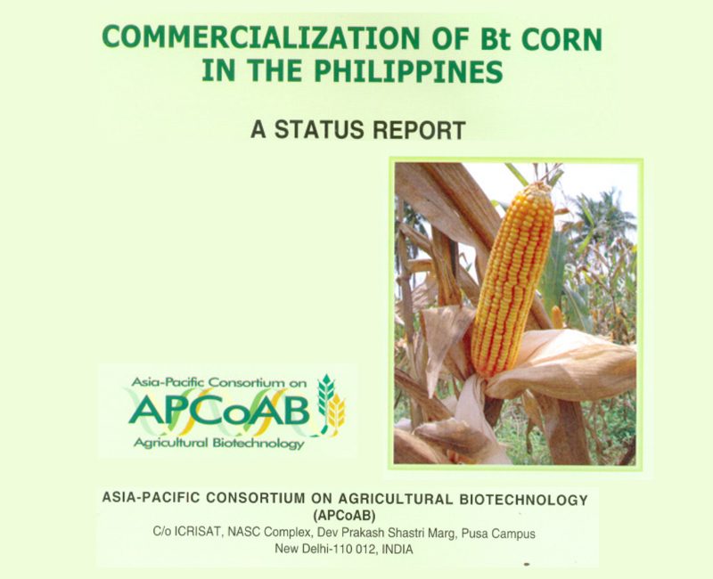 2005-Commercialization-of-Bt-Corn-in-the-Philippines--A-Status-Report-(1)