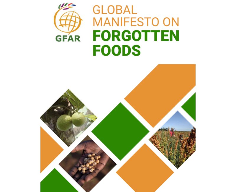 2021-Global-Manifesto-on-Forgotten-Foods-web-version